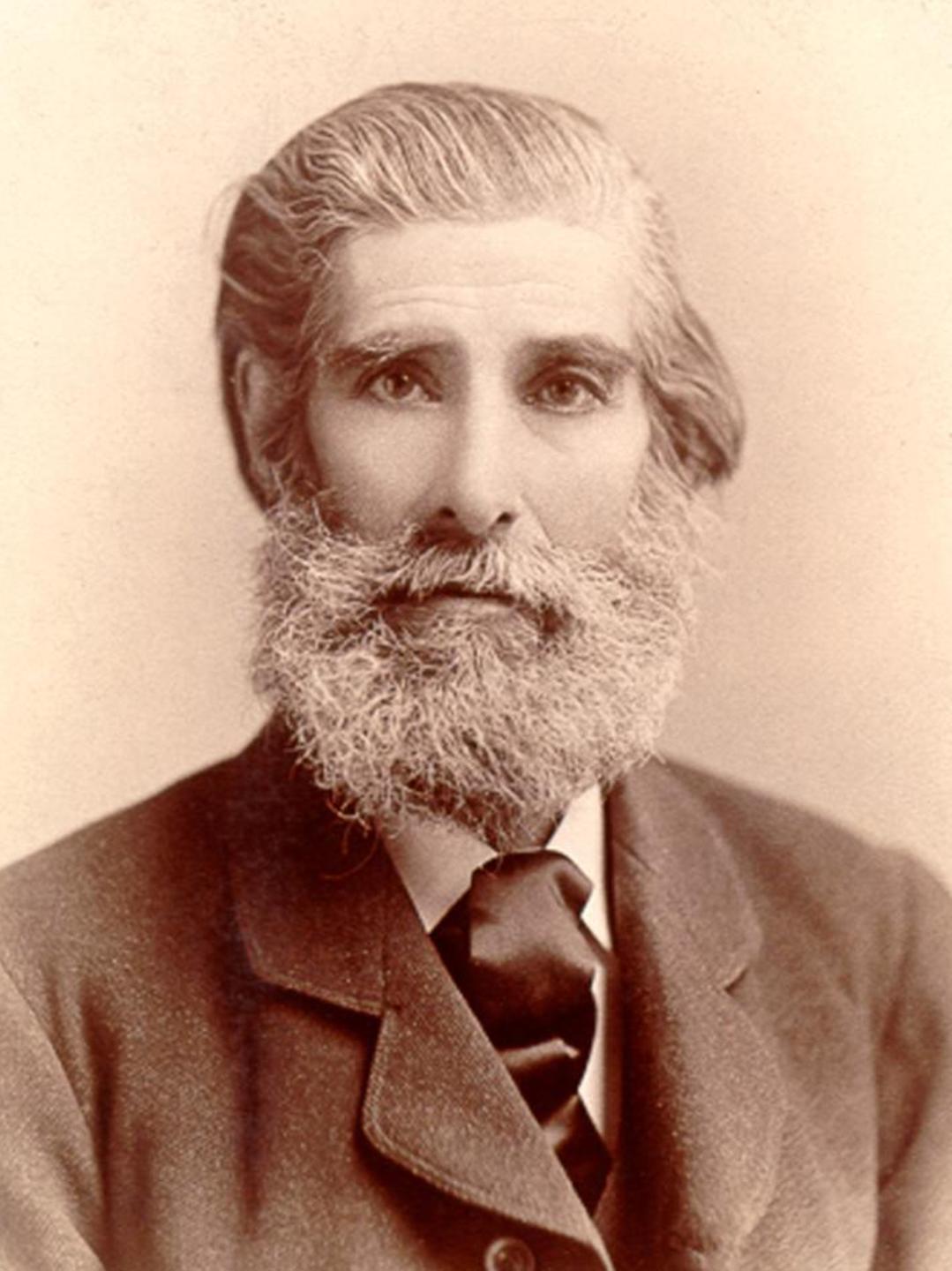 David Adams (1828 - 1911) Profile